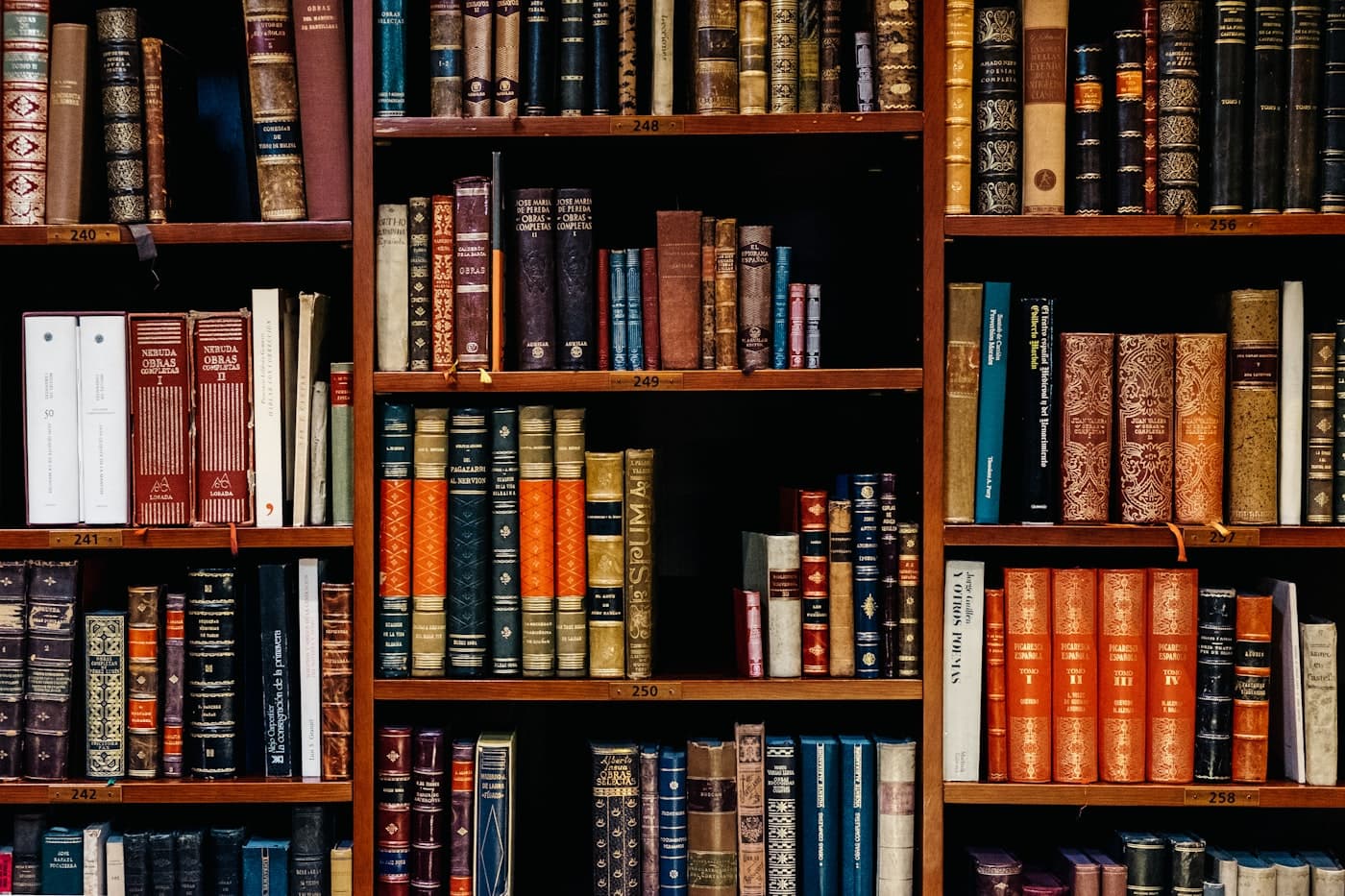 School library shelves filled with books